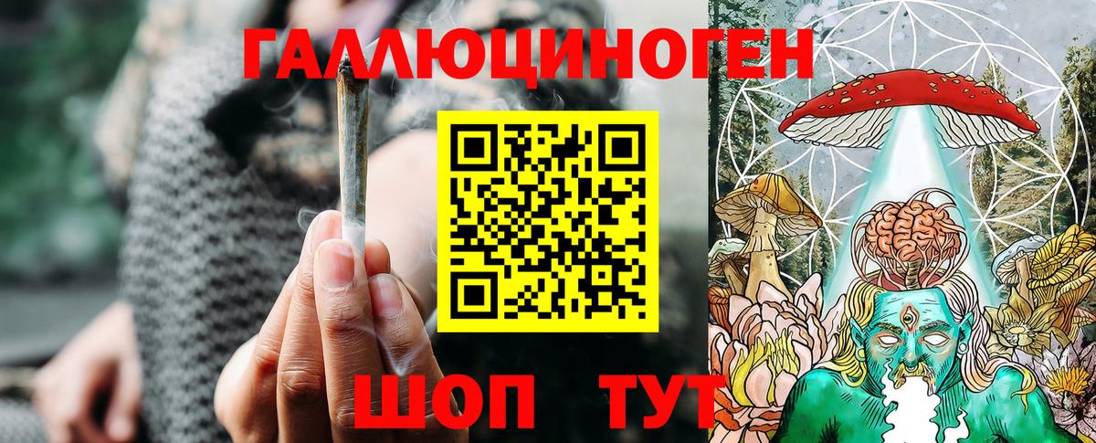 Галлюциногенные грибы Cubensis Ковров