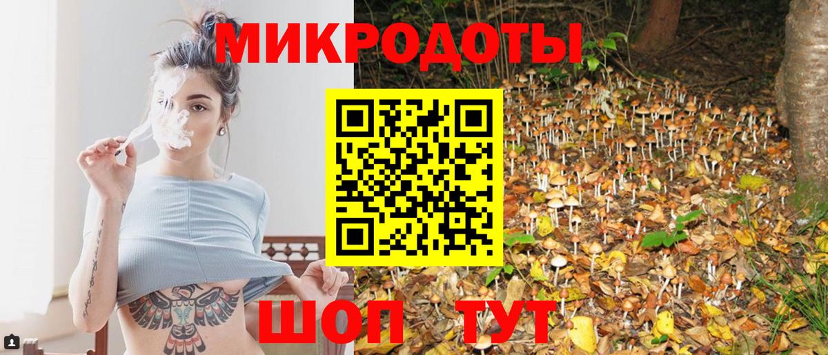 Ковров  Псилоцибиновые грибы прущие грибы  Вход с VPN  Псилоцибиновые грибы мицелий 